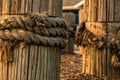 Old weathered marine timber pilings with worn thick rope, nautical, background,copy space, concept