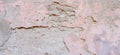 Old weathered painted wall background texture. Light grey pink dirty peeled plaster wall with falling off flakes of