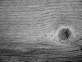 Old weathered pine wood boards close up shot on bright sunlight Royalty Free Stock Photo