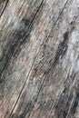 Old Weathered Wooden Plank Texture, Closeup Royalty Free Stock Photo