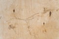 Old weathered plywood background, cracked plywood. Old aged covered cracked wooden panel Royalty Free Stock Photo