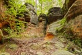 Old weathered rocks background. The Hell Rocks