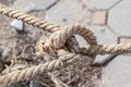 Old weathered rope with a sea knot close-up on a blurry pier background Royalty Free Stock Photo