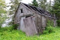 Old Weathered Shack In The Woods Royalty Free Stock Photo