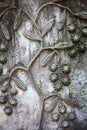 Old and weathered stone carving of a plant with flowers