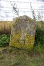 Old weathered stone Milestone hidden in weeds
