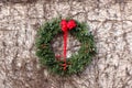 Old weathered stone wall with heavy cover of creeping vine and holiday wreath Royalty Free Stock Photo