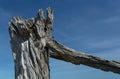 Old weathered strainer fence post against a blue sky Royalty Free Stock Photo