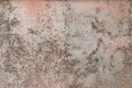 Old weathered surface mold wall dirty pattern texture background Royalty Free Stock Photo