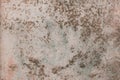 Old weathered surface mold wall dirty pattern texture background messy Royalty Free Stock Photo
