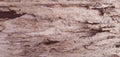 Old weathered teakwood panel texture
