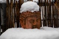 Old weathered terracotta buddha head covered with snow