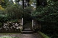 Old weathered wall and steps covered with moss and moisture in a park full of trees Royalty Free Stock Photo