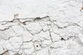 Old weathered white plaster wall texture. Grunge background. Royalty Free Stock Photo