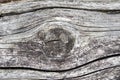 Old weathered wood with a knot Royalty Free Stock Photo