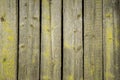 Old weathered wood planks covered with green moss Royalty Free Stock Photo