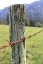 Old weathered wooden fence post with rusty barbed wire Royalty Free Stock Photo