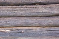 Old weathered wooden logs, eaten by a bark beetle. Wood texture Royalty Free Stock Photo