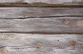 Old weathered wooden logs, eaten by a bark beetle. Wood texture Royalty Free Stock Photo