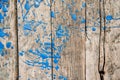 Old weathered wooden planks with blue stains of paint