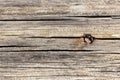 Old weathered wooden texture with rusty nail Royalty Free Stock Photo