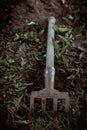 Old weeding tool or rake abandoned lying in green grass. Vintage