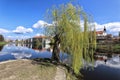 Old weeping willow on the island by the city Pisek Royalty Free Stock Photo