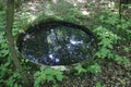 An old well, buried barrel filled with water in Black forest Baden-Baden, Sandweier Royalty Free Stock Photo