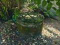 An old well with moss on the walls under a tree. Royalty Free Stock Photo