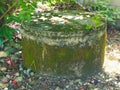An old well with moss on the walls under a tree. Royalty Free Stock Photo