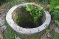 An old well that is no longer used with moss and dirty water in the middle of the forest Royalty Free Stock Photo