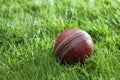 Old well used cricket ball in a grass Royalty Free Stock Photo