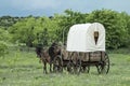 Old western covered wagon in Texas plains Royalty Free Stock Photo