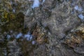 Old wet broken sidewalk with puddles close up. Royalty Free Stock Photo