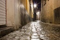 Old wet cobblestone street after rain at night Royalty Free Stock Photo