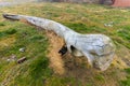 old whalebone on the beach of the now abandoned whaling station in Grytviken on South Georgia.