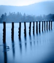 Old wharf posts - artistic Royalty Free Stock Photo