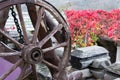 Old wheel from a cart on a background of red flowers Royalty Free Stock Photo