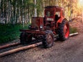 Old wheel tractor in the woods Royalty Free Stock Photo