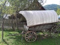 an old wheelbarrow positioned in a garden