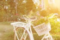 Old white bicycle and flower in  garden Royalty Free Stock Photo