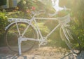 Old white bicycle and flower in  garden Royalty Free Stock Photo