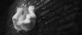 Old white boxing gloves hang on nail on brick wall with copy space for text. High resolution 3d render Royalty Free Stock Photo