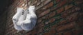Old white boxing gloves hang on nail on brick wall with copy space for text. High resolution 3d render Royalty Free Stock Photo