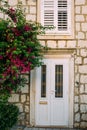 Old white doors. Wood texture Royalty Free Stock Photo