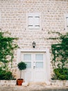 Old white doors. Wood texture Royalty Free Stock Photo