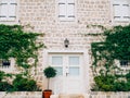 Old white doors. Wood texture Royalty Free Stock Photo