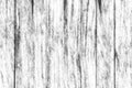 Old white grey wood texture and background in vintage tone. Royalty Free Stock Photo