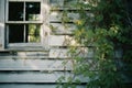 an old white house with vines growing around it