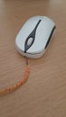 old white mouse with orange wire